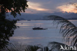 Lembeh Strait