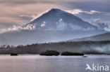 Lembeh Strait