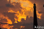 Lighthouse Lange Jaap