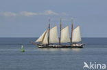 Waddensea