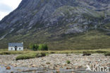 Buachaille Etive Mor