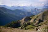 Col D’Izoard