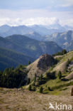 Col D’Izoard