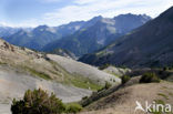 Col D’Izoard