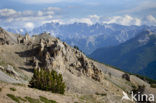 Col D’Izoard