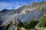 Col D’Izoard