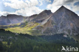 Col D’Izoard