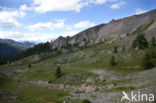 Col D’Izoard