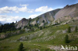 Col D’Izoard