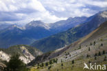 Col D’Izoard