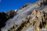 Col D’Izoard