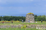 Culloden battlefield