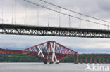 Firth of Forth