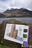 Loch Maree