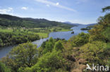 Loch Tummel