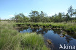 National Park Cross-border park De Zoom