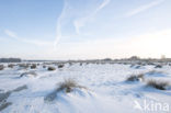 National Park Weerribben-Wieden