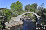 old Packhorse bridge