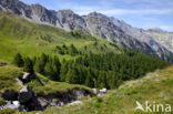 Parc Naturel Régional du Queyras