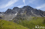 Parc Naturel Régional du Queyras