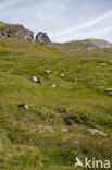 Parc Naturel Régional du Queyras