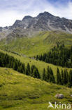 Parc Naturel Régional du Queyras