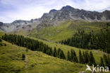 Parc Naturel Régional du Queyras