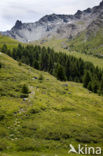 Parc Naturel Régional du Queyras