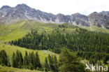 Parc Naturel Régional du Queyras