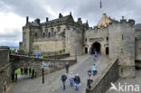 Stirling Castle