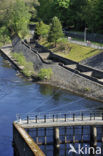 Tummel rivier