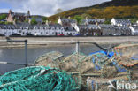 Ullapool