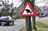 Belgium