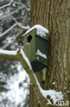 De Mortelen en Heerenbeek