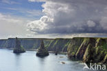 Duncansby Head