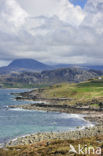 Gruinard Bay