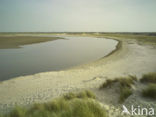National Park Duinen van Texel 