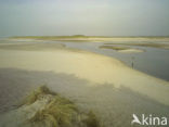 National Park Duinen van Texel 