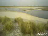 Nationaal Park Duinen van Texel 