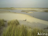 Nationaal Park Duinen van Texel 