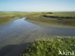 Nationaal Park Duinen van Texel 