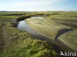 Nationaal Park Duinen van Texel 