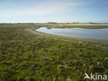 Nationaal Park Duinen van Texel 