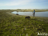 National Park Duinen van Texel 