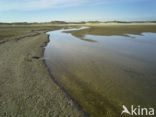 Nationaal Park Duinen van Texel 