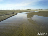 Nationaal Park Duinen van Texel 