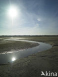 Nationaal Park Duinen van Texel 