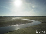 Nationaal Park Duinen van Texel 