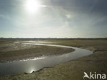 Nationaal Park Duinen van Texel 