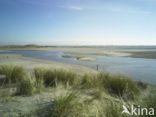 Nationaal Park Duinen van Texel 